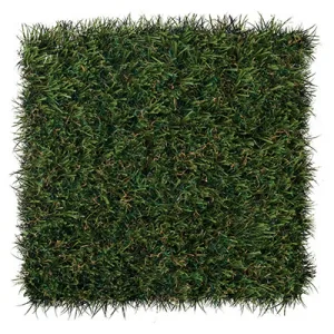 Select LX turf sample