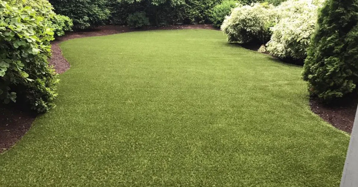 Finished artificial lawn bordered by shrubs